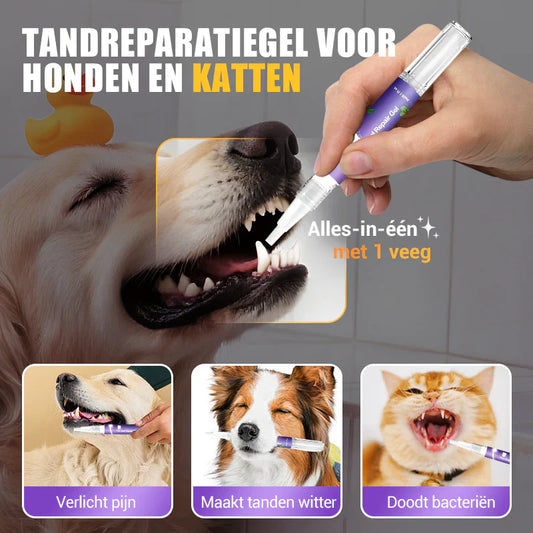 🐶Mondherstelgel voor Huisdieren