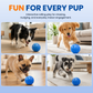 🏆Tijdelijke aanbieding: 49% KORTING 🐶🐾Slimme, interactieve stuiterbal