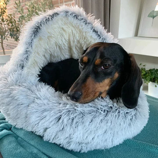 🔥Pluche bed voor honden en katten - Gezellig pluchen nest