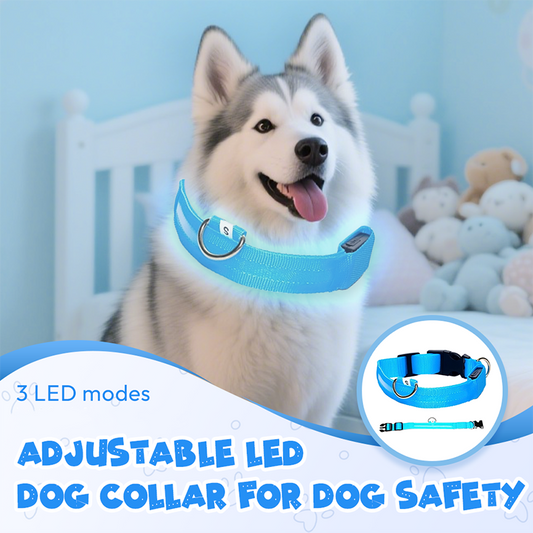 🔥Verstelbare LED-hondenhalsband voor hondenveiligheid
