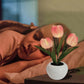 LED Tulp Nachtlamp - Bloem Tafellamp met 3 Takken USB Decoratief Licht