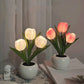 LED Tulp Nachtlamp - Bloem Tafellamp met 3 Takken USB Decoratief Licht