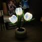 LED Tulp Nachtlamp - Bloem Tafellamp met 3 Takken USB Decoratief Licht