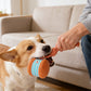 🎁2026 Nieuw binnen 50% KORTING💥 Interactief rollend bal-speeltje voor honden