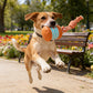 🎁2026 Nieuw binnen 50% KORTING💥 Interactief rollend bal-speeltje voor honden