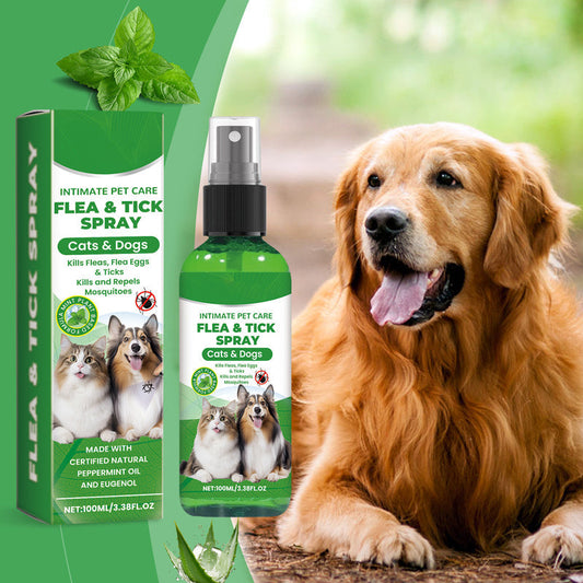 Natuurlijke vlooien- en tekenspray voor honden en katten🐾 Houd uw geliefde huisdier vrij van ongedierte 🐾