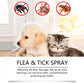 Natuurlijke vlooien- en tekenspray voor honden en katten🐾 Houd uw geliefde huisdier vrij van ongedierte 🐾