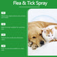Natuurlijke vlooien- en tekenspray voor honden en katten🐾 Houd uw geliefde huisdier vrij van ongedierte 🐾