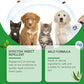 Natuurlijke vlooien- en tekenspray voor honden en katten🐾 Houd uw geliefde huisdier vrij van ongedierte 🐾